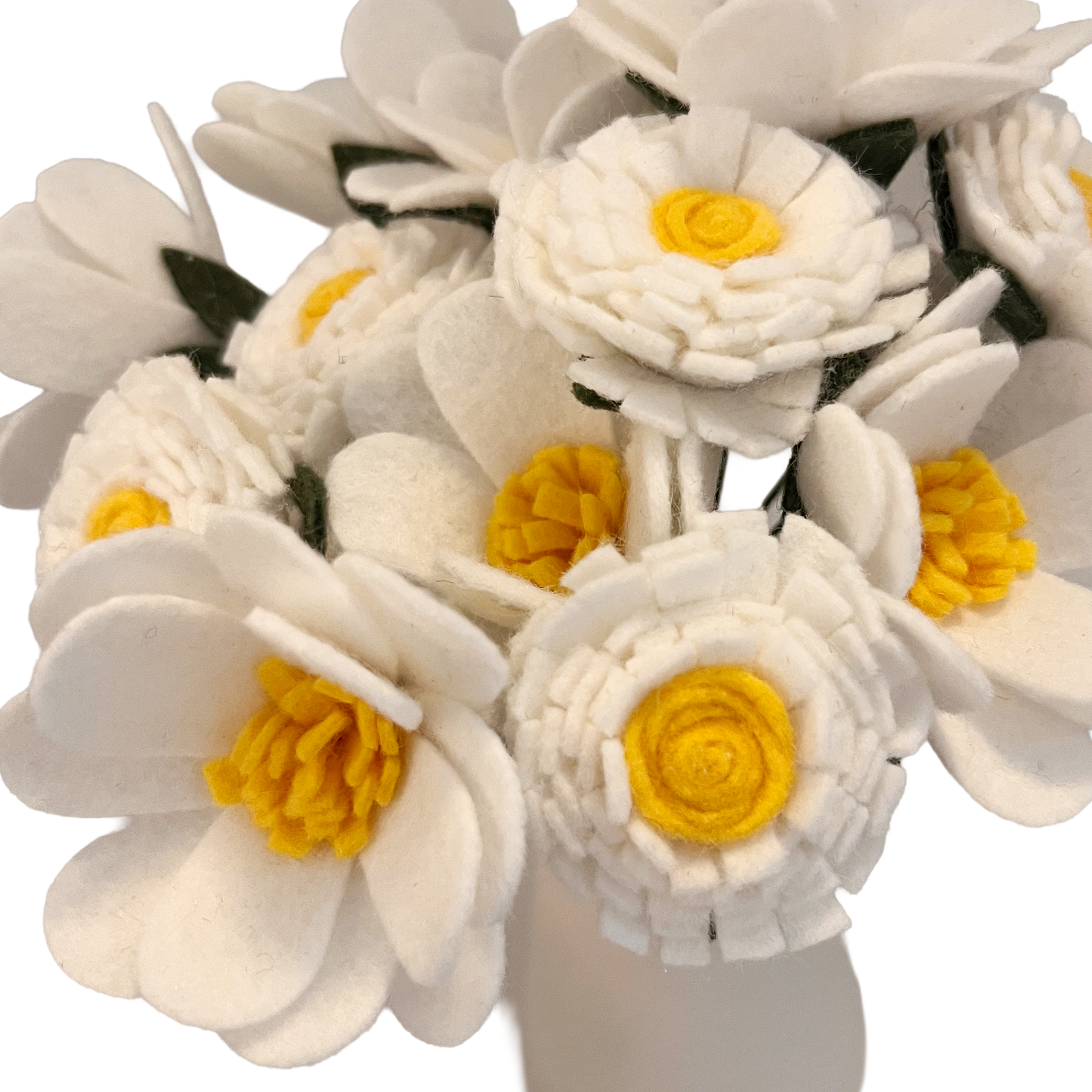 Bouquet of white flowers with yellow centers on a white background