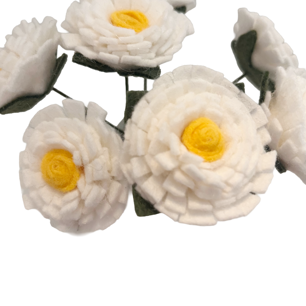 Close-up of white flowers with yellow centers on a white background