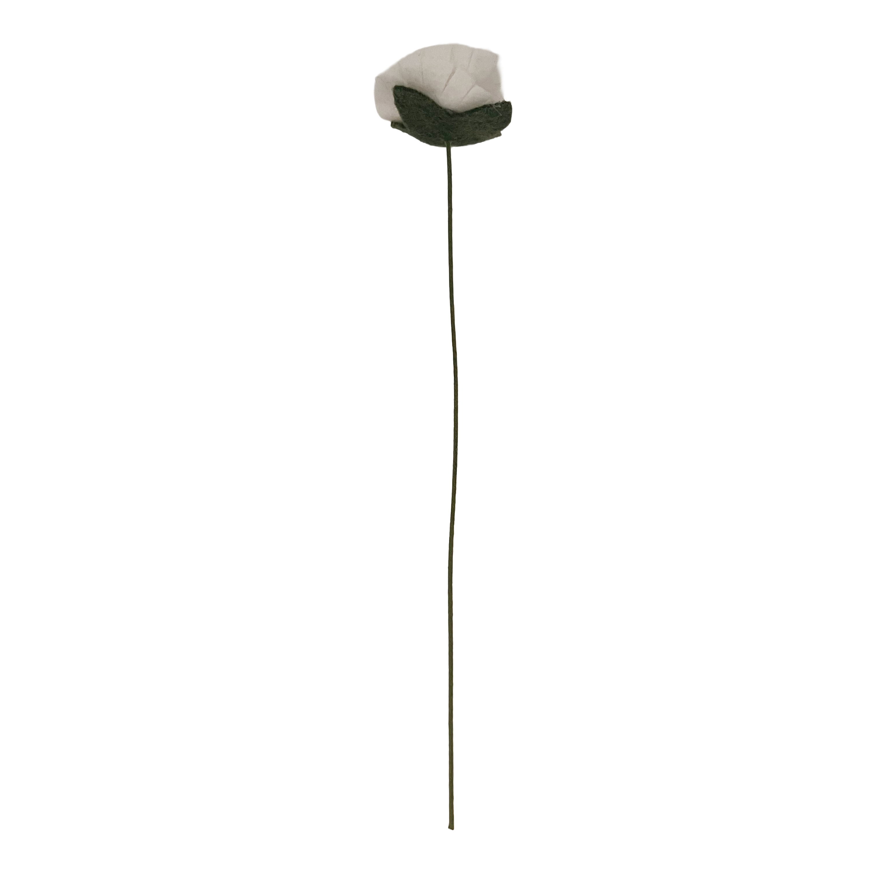 White felt daisy stem on a white background